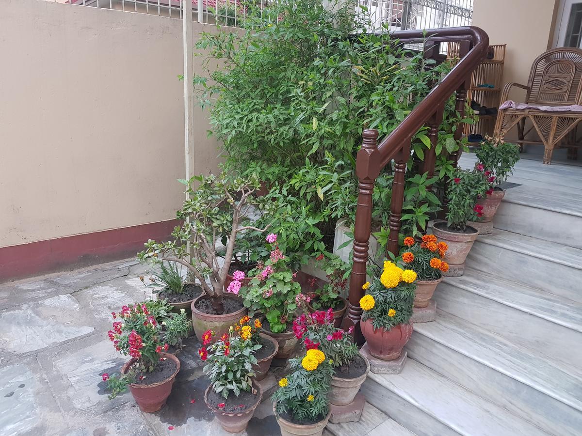 Cozy Home Jawlakhel Esterno foto